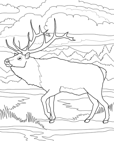 Woodland Caribou Coloring Page